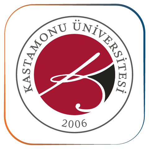 KASTAMONU University