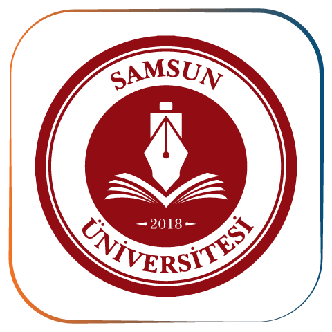 Samsun University